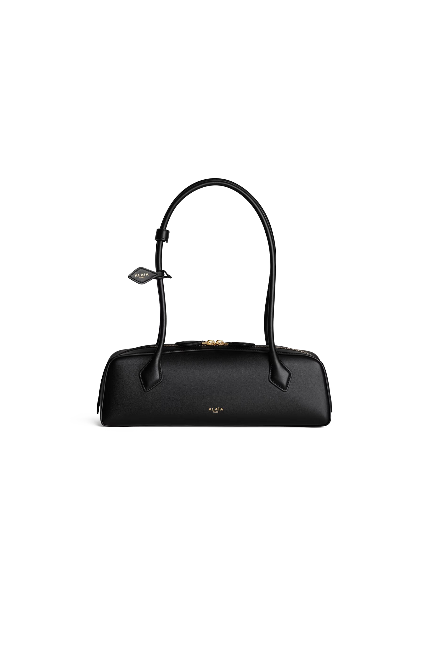 Le Teckel Medium Bag in Calfskin