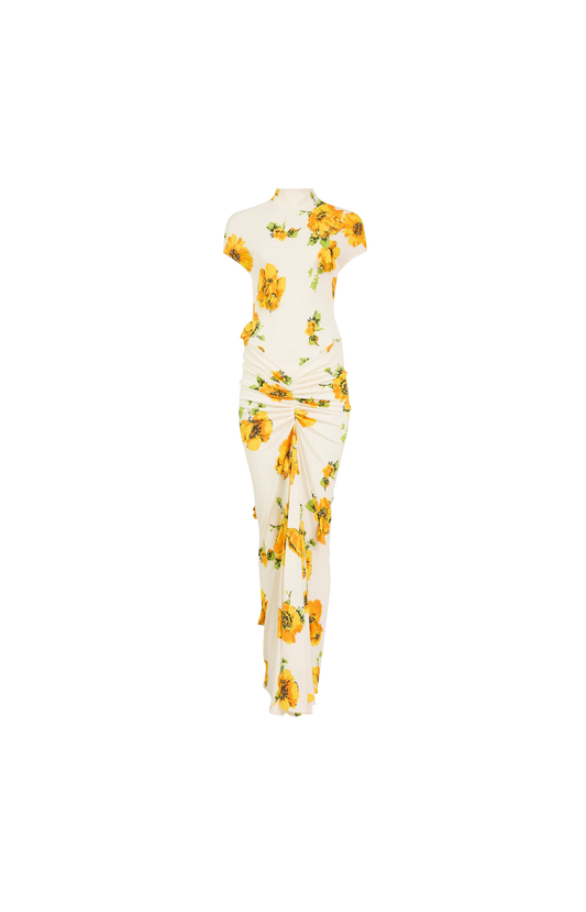 Printed Dress