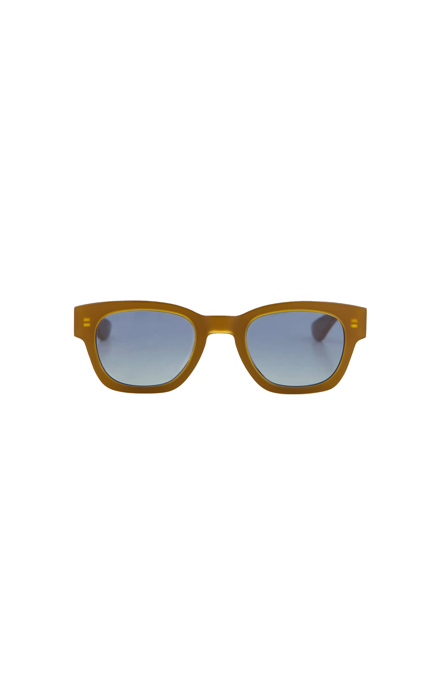 Rectangular Acetate Sunglasses in Brown/Blue