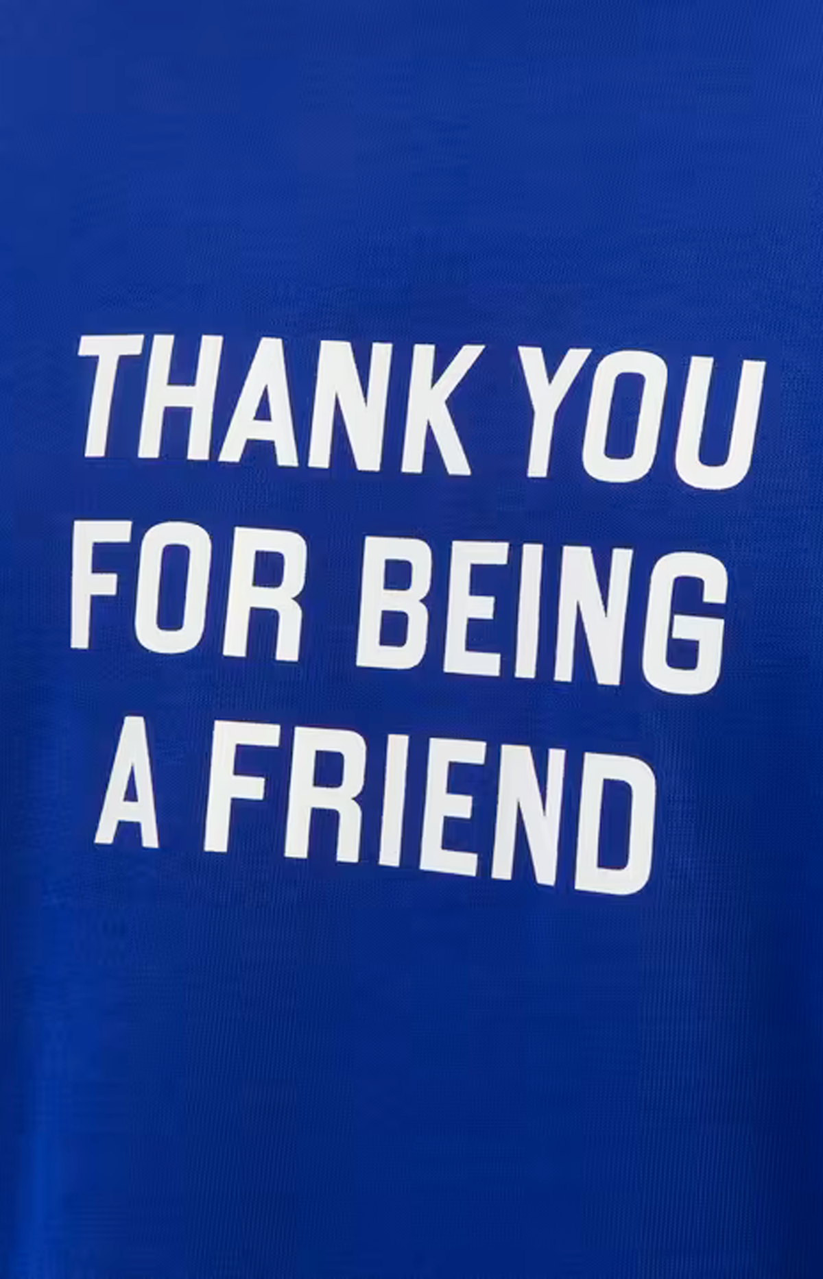 Thank You for Being a Friend Long-Sleeve T-Shirt in Blue