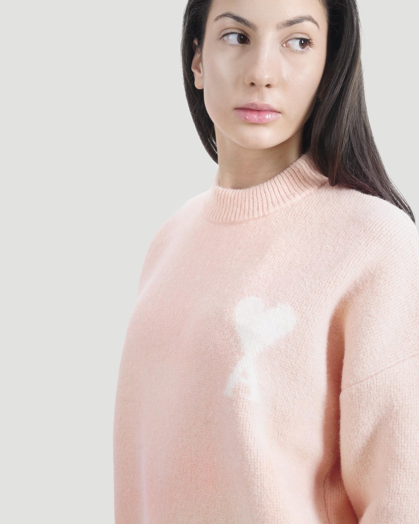 Alpaca Ami De Coeur Crewneck Sweater in Pink