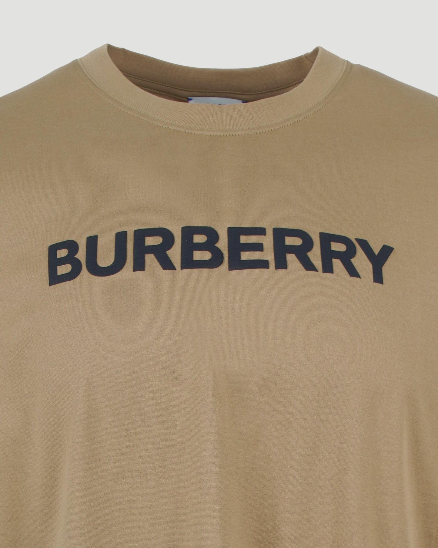 Burberry COTTON T-SHIRT IN CAMEL in Brown — product photo 3
