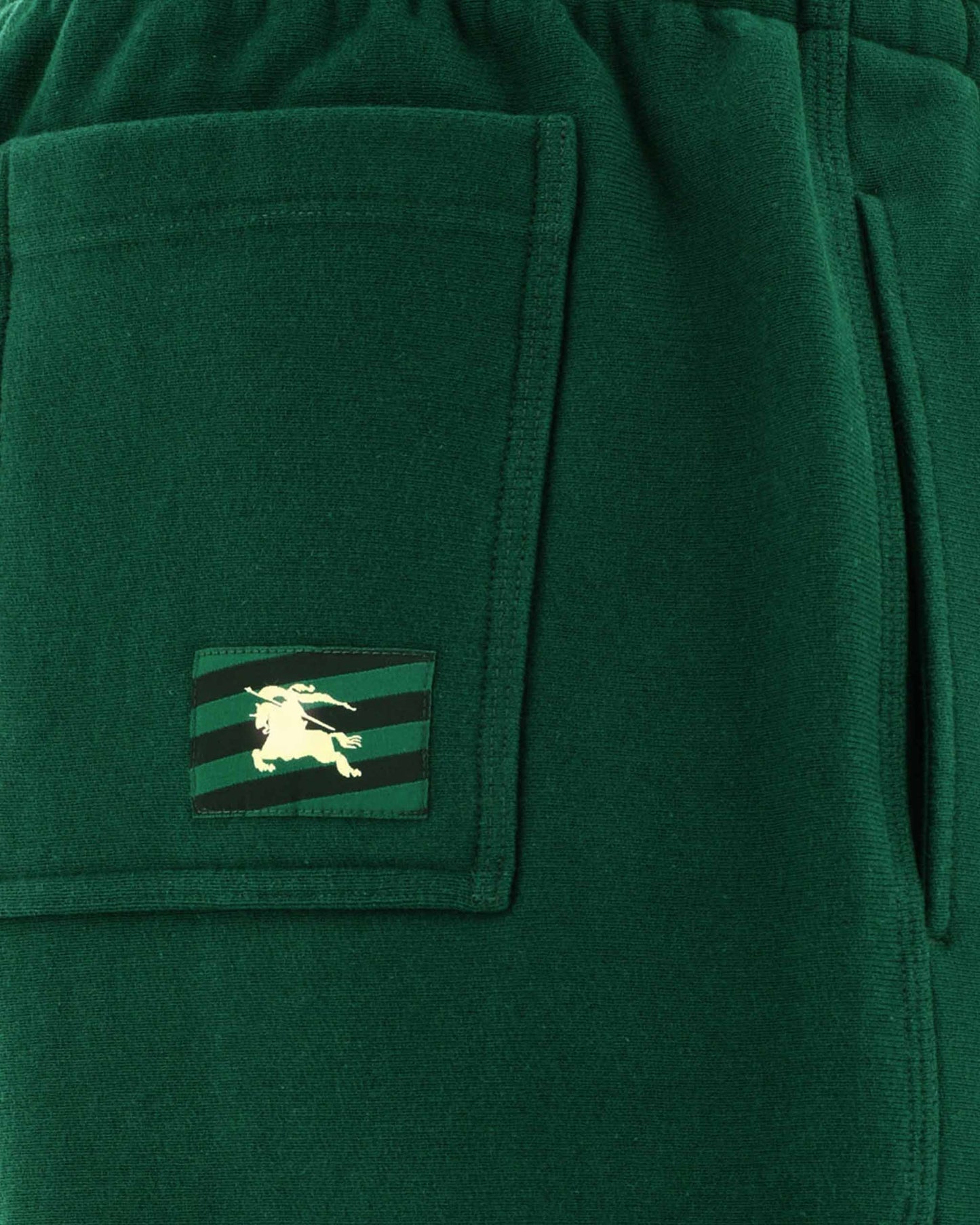 Cotton Shorts in Green