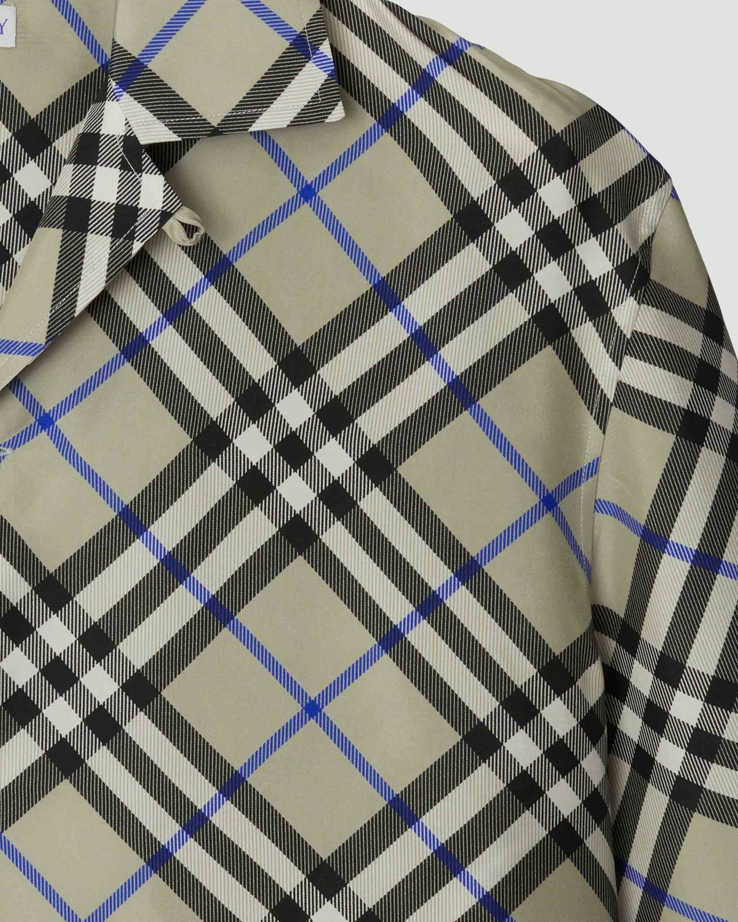 Oversized Check Silk Shirt in Lichen