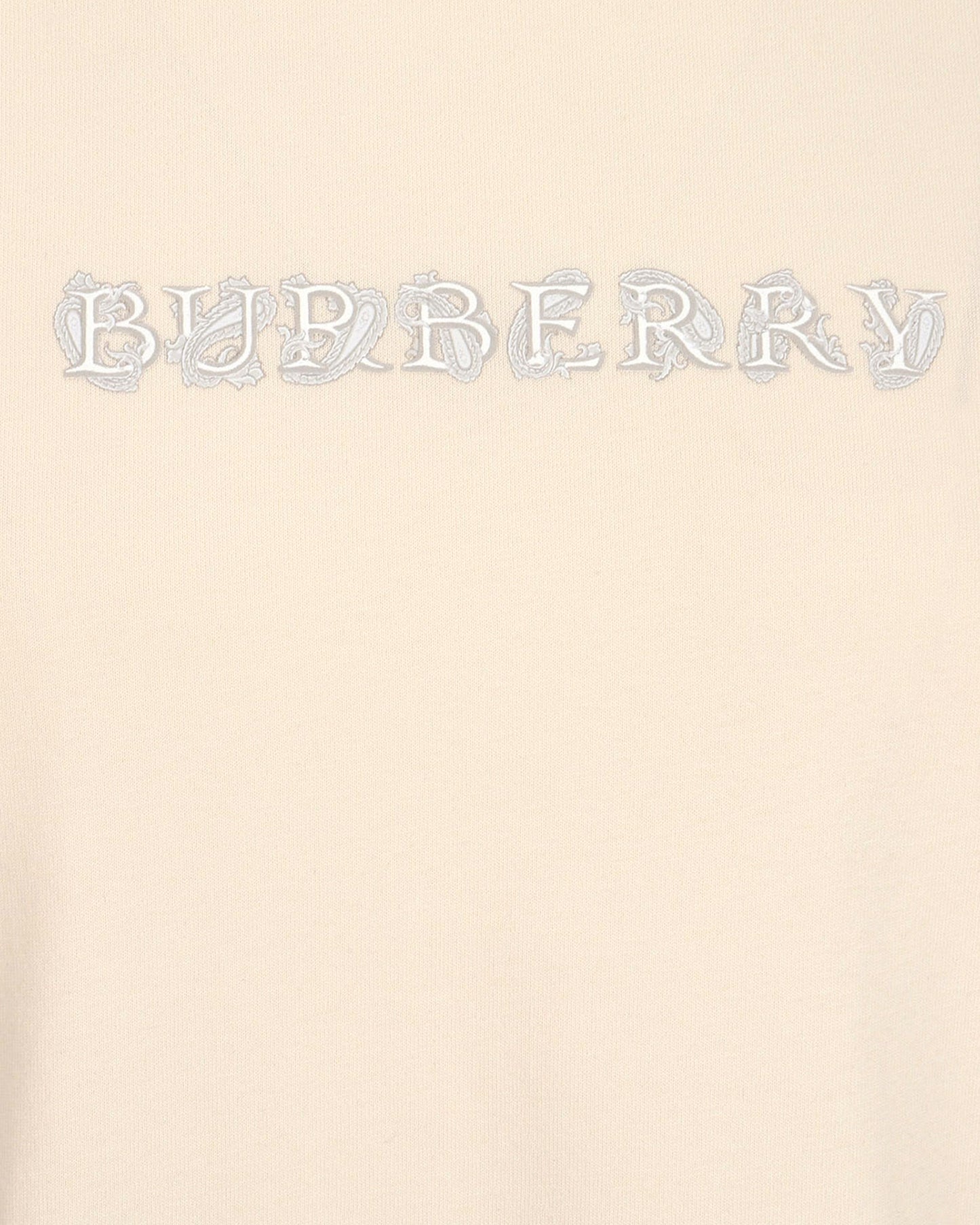 Paisley Logo Cotton T-shirt in Tundra