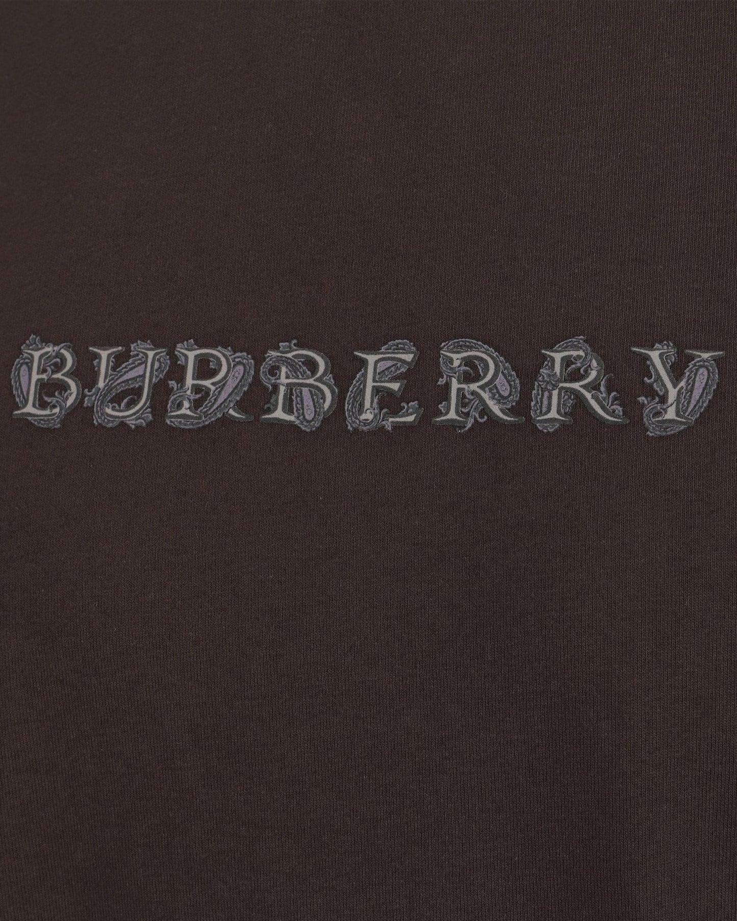 Burberry Paisley Logo Cotton T-shirt in Shadow in Brown — product photo 3