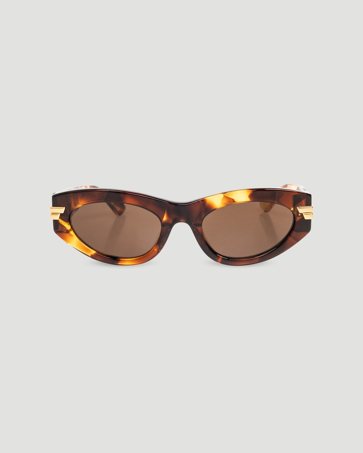 BROWN SUNGLASSES