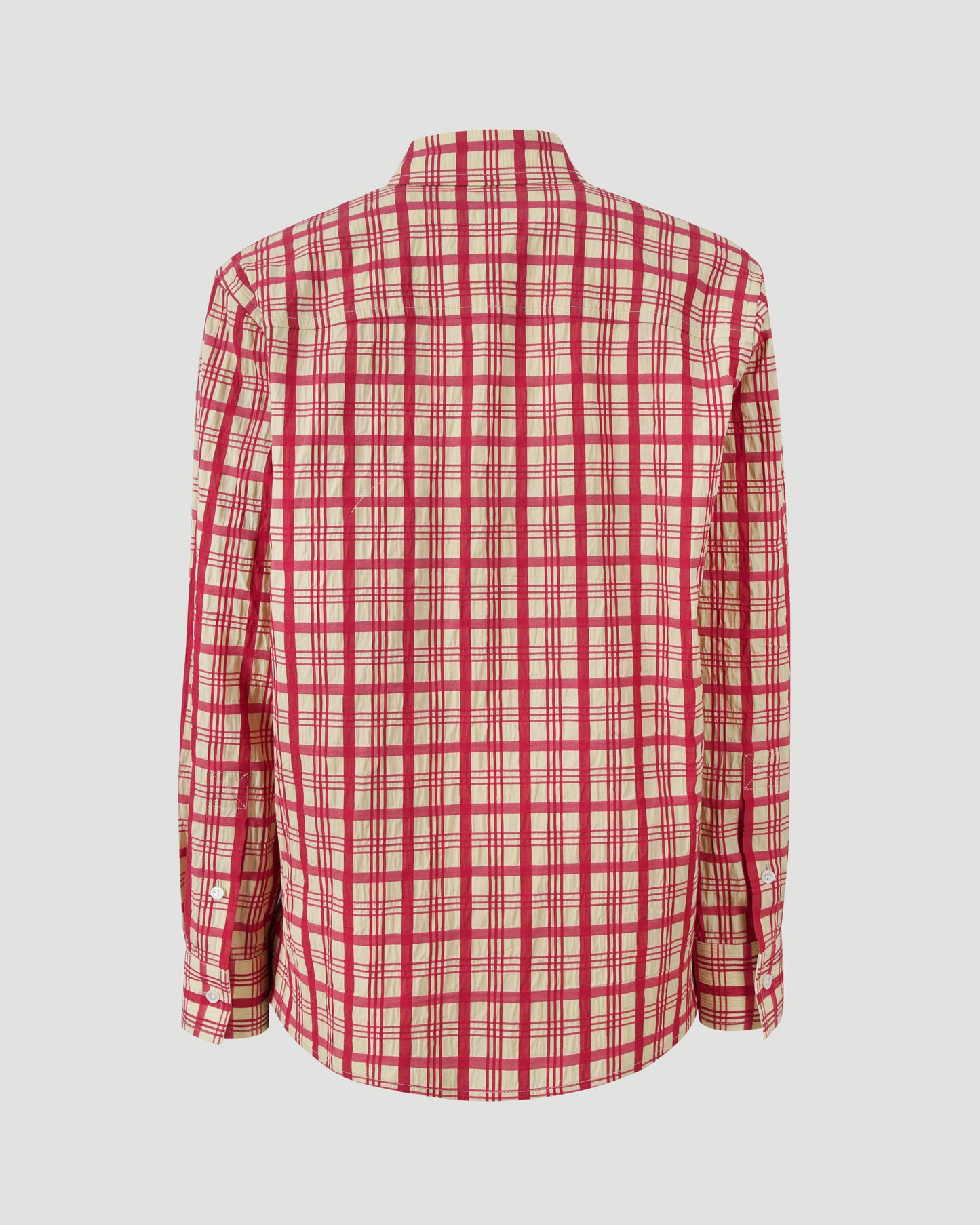 Check Shirt in Cotton