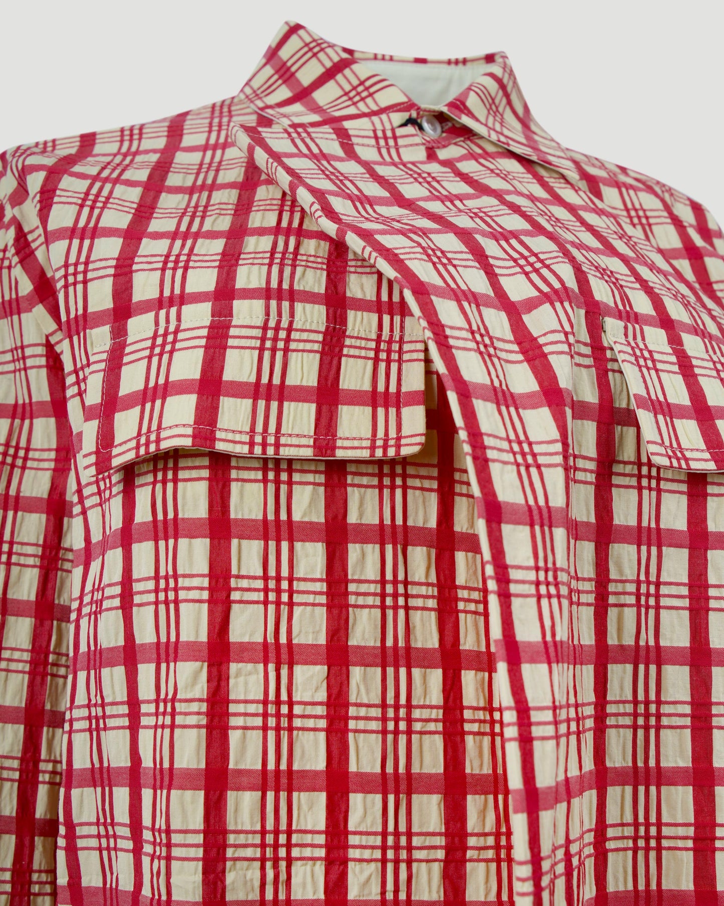 Check Shirt in Cotton