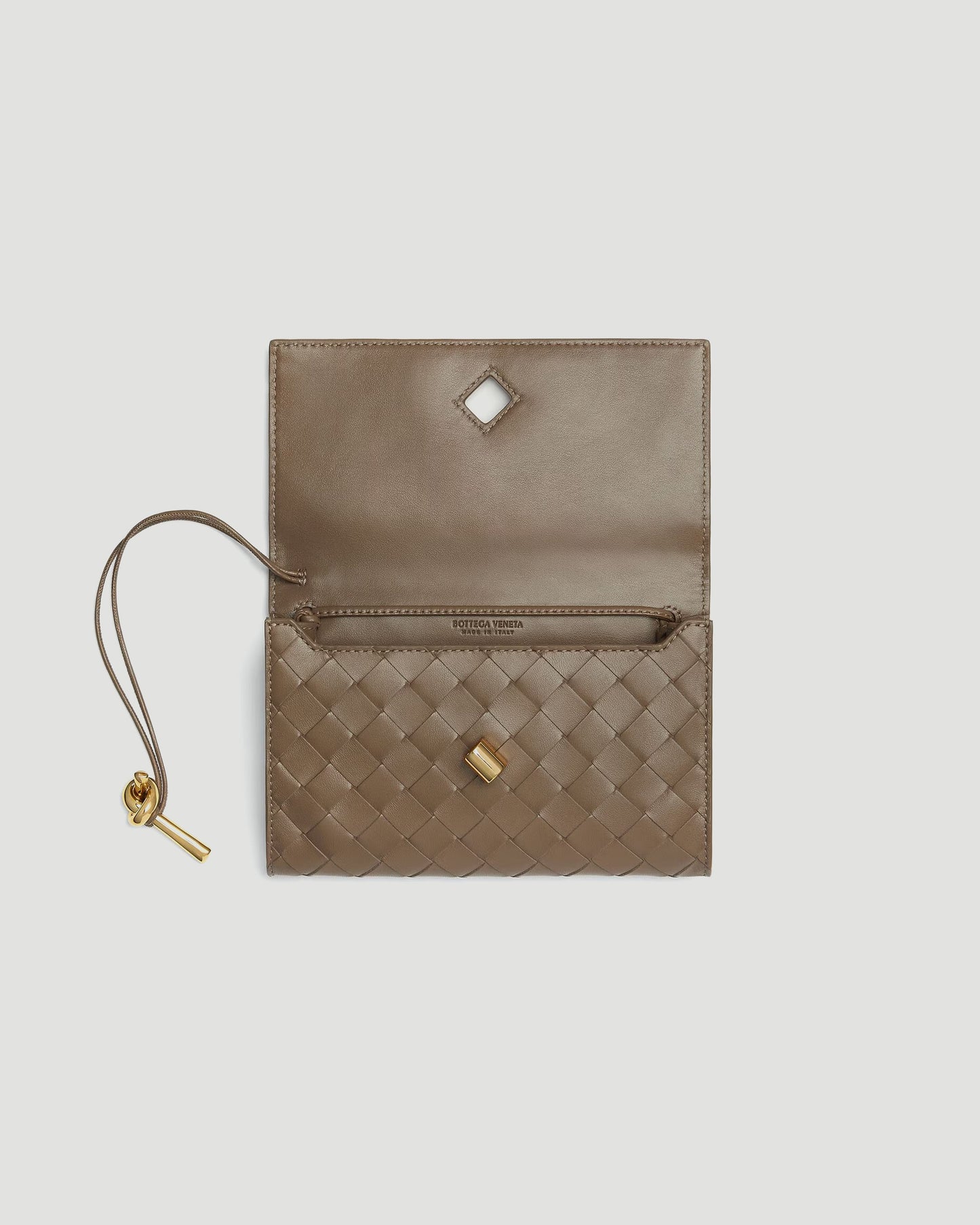 Andiamo Pouch in Pinecone