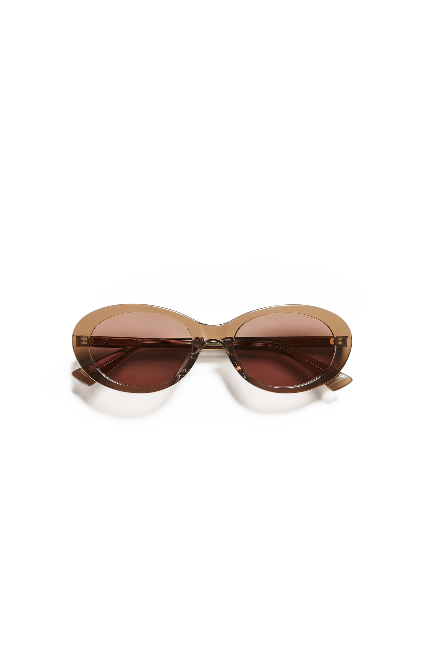 Oval Acetate Sunglasses in Brown