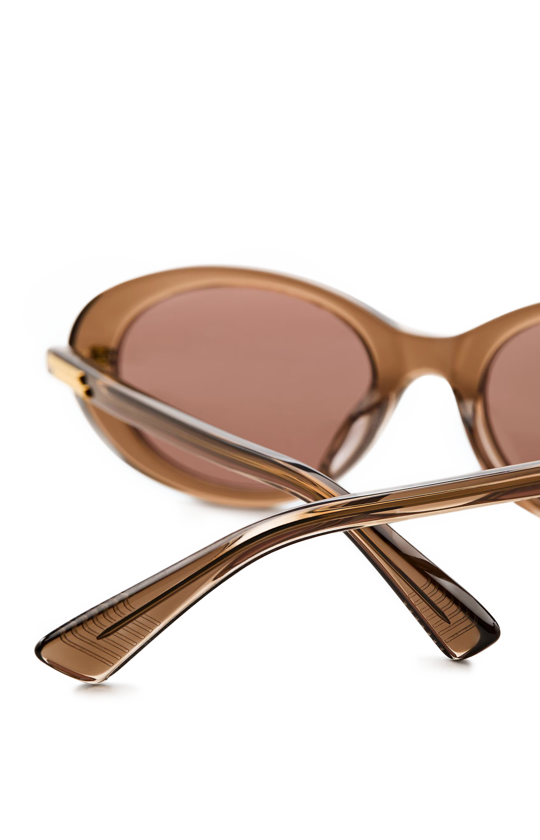 Oval Acetate Sunglasses in Brown