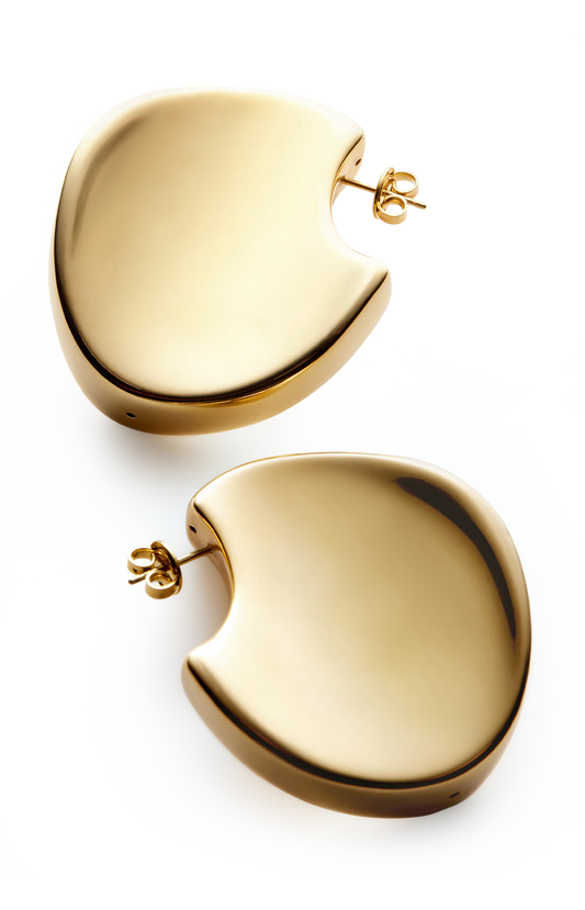 Large Disc Earrings