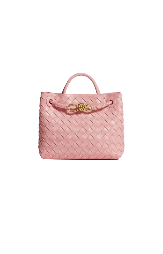 Small Andiamo Bag in Blush