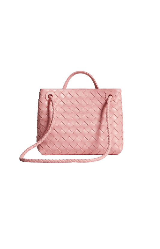 Small Andiamo Bag in Blush