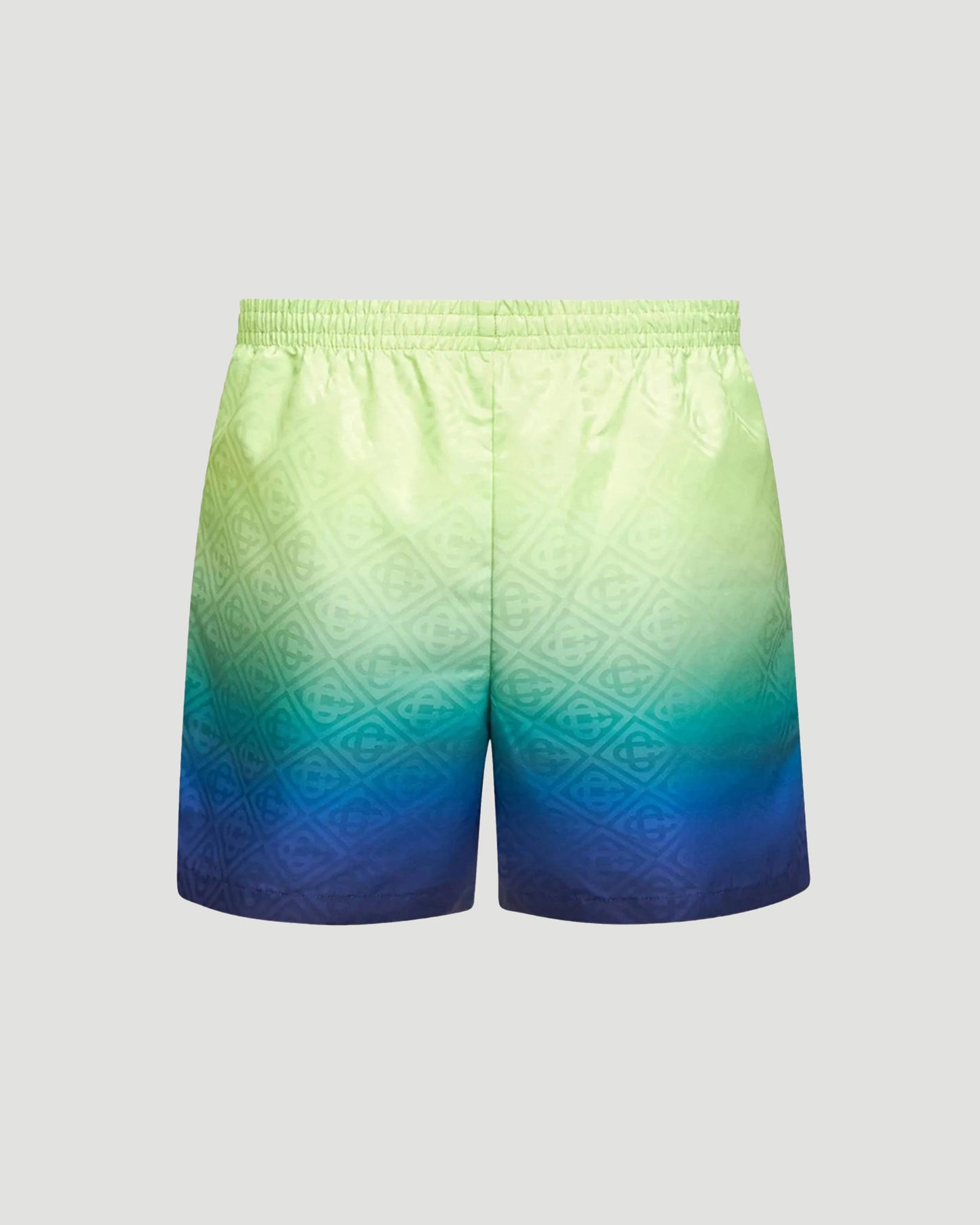 Gradient Swim Shorts