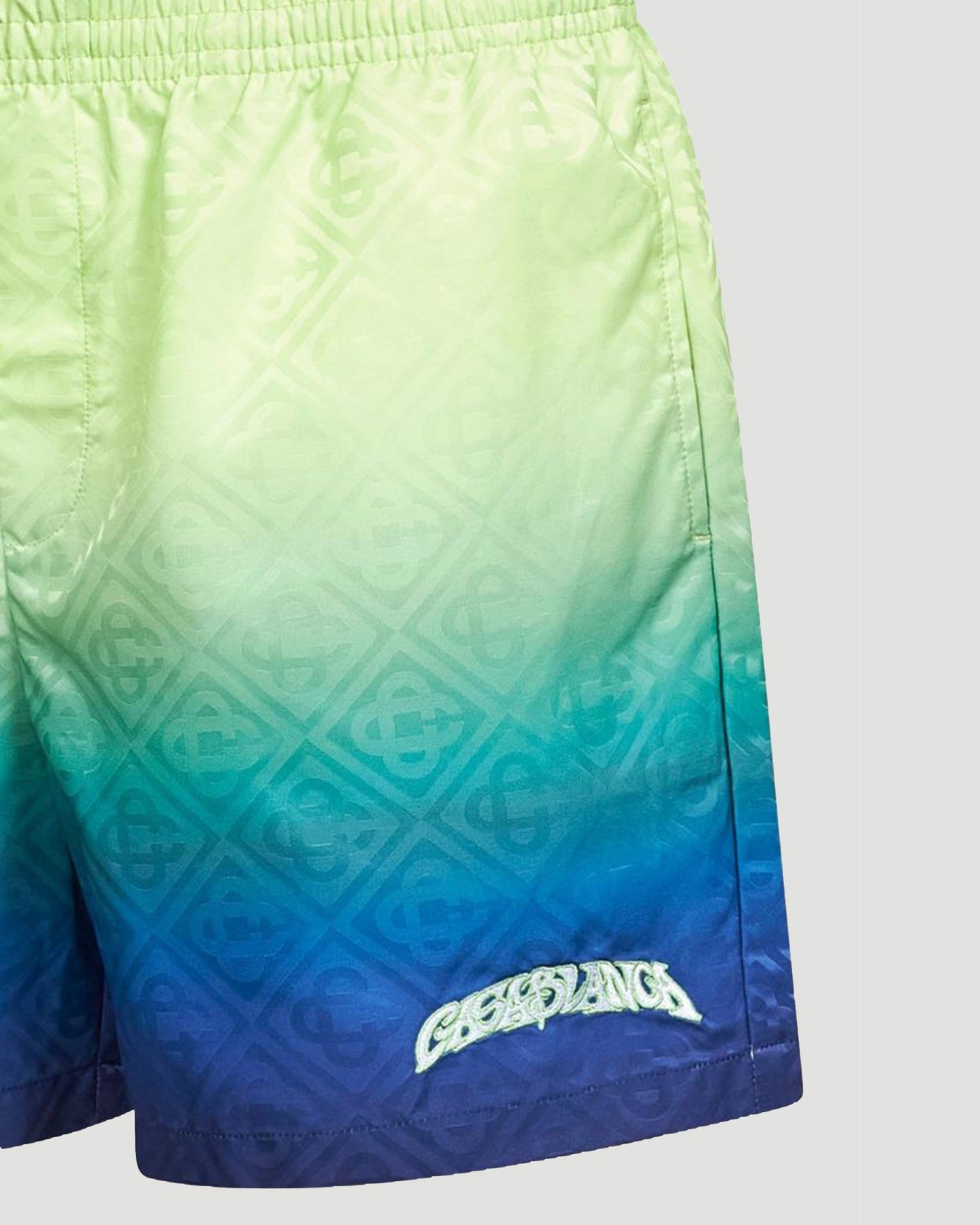 Gradient Swim Shorts