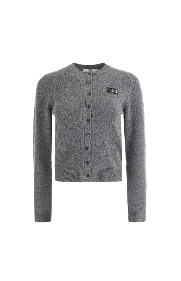 Chloé Buttoned Knit Cardigan in Grey — front view