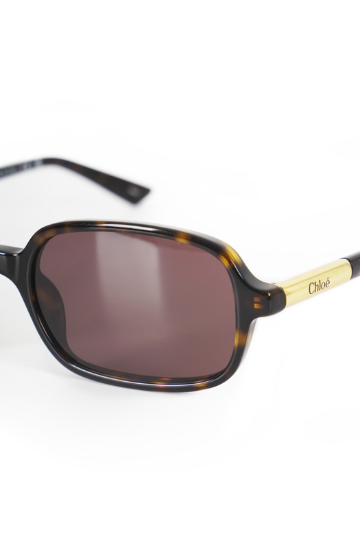 Havana Solid Brown Sunglasses