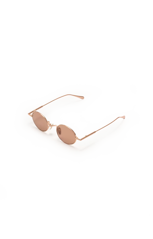 Chloé Round-Frame Sunglasses in Brown — product photo 2