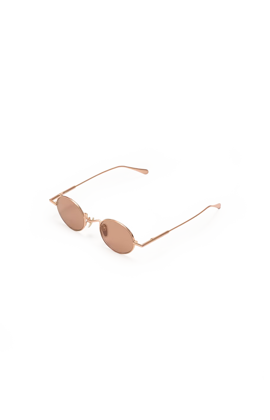 Round-Frame Sunglasses in Brown