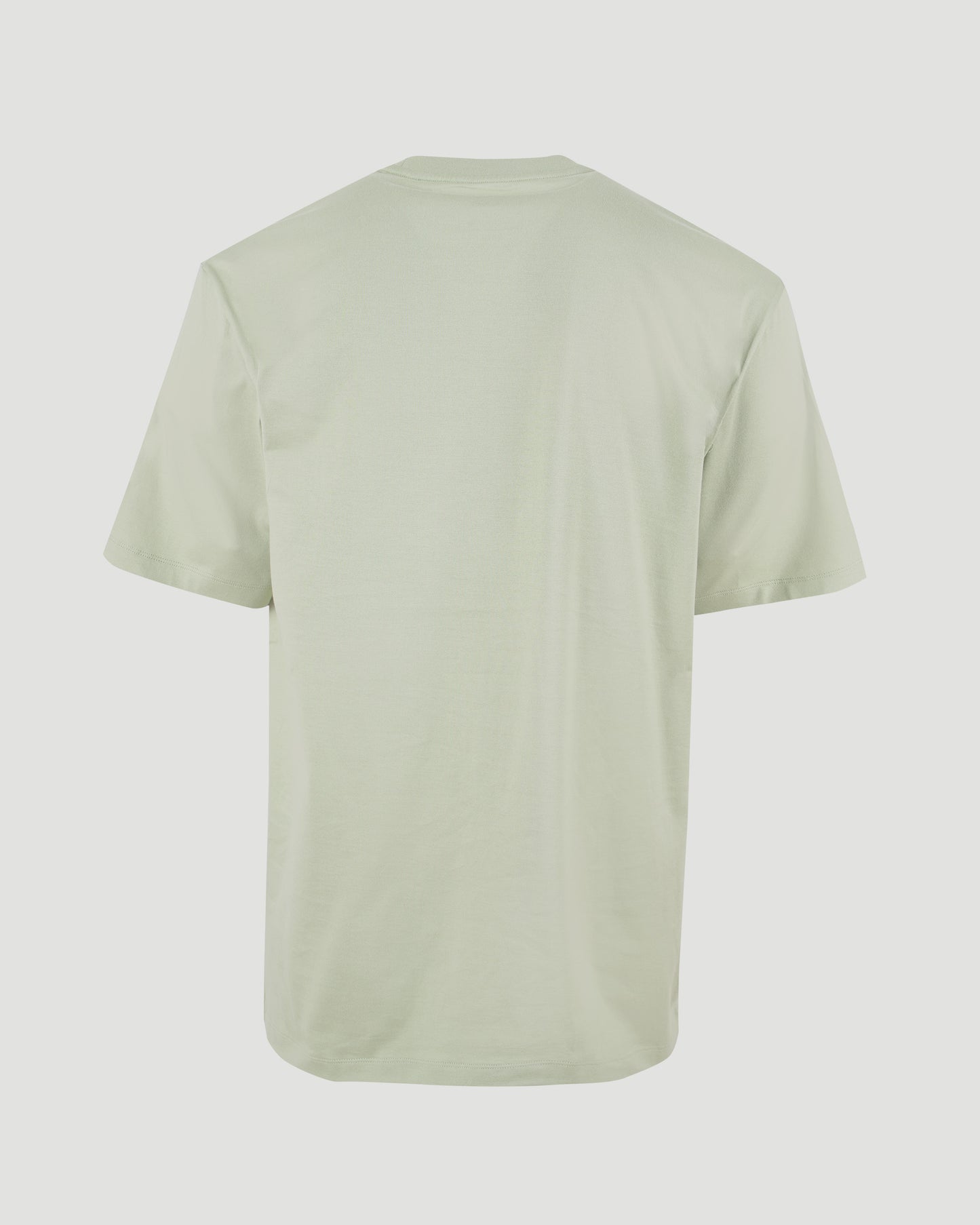 Regular Short Sleeve T-Shirt in Light Green