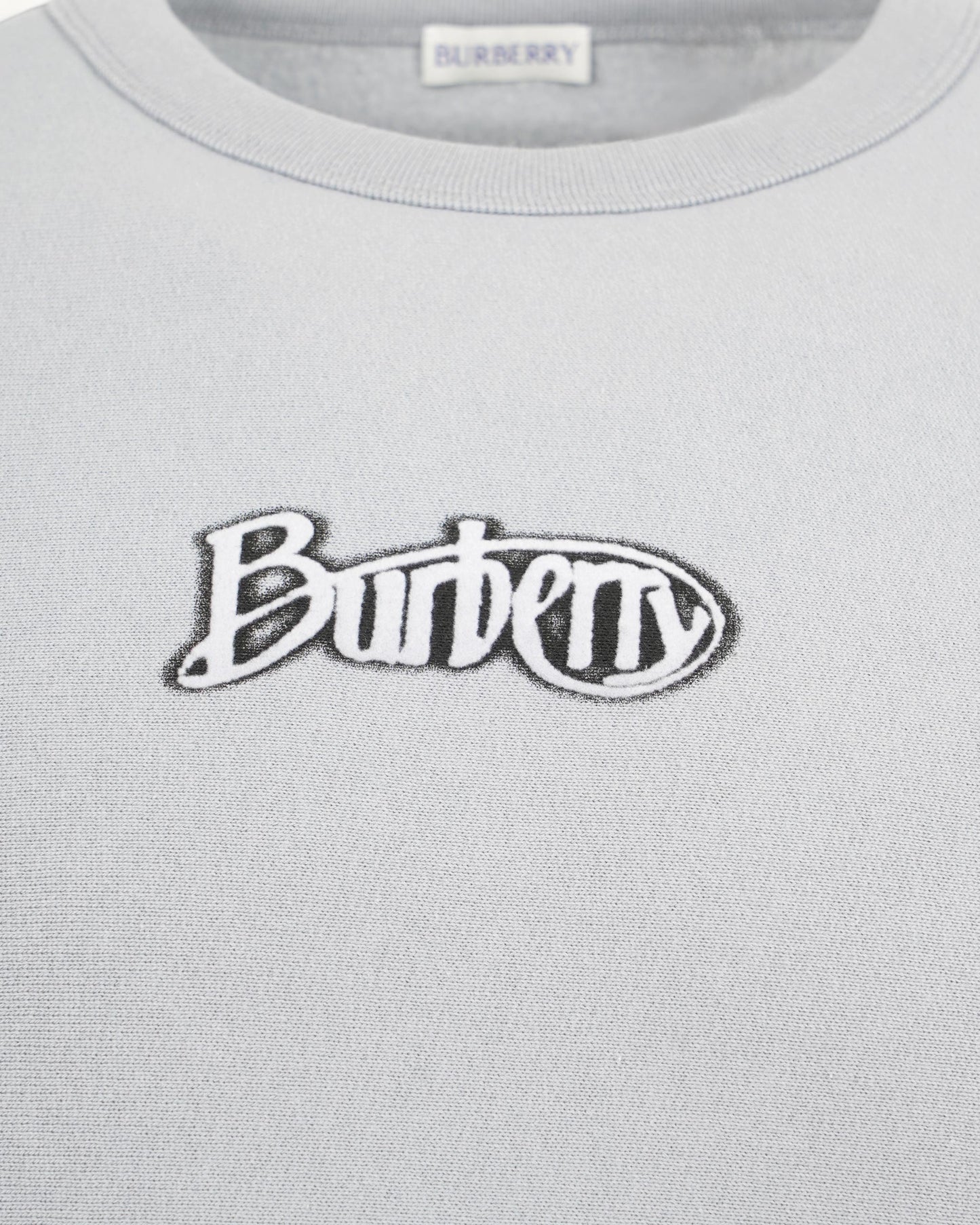 Logo Sweatshirt in Grey