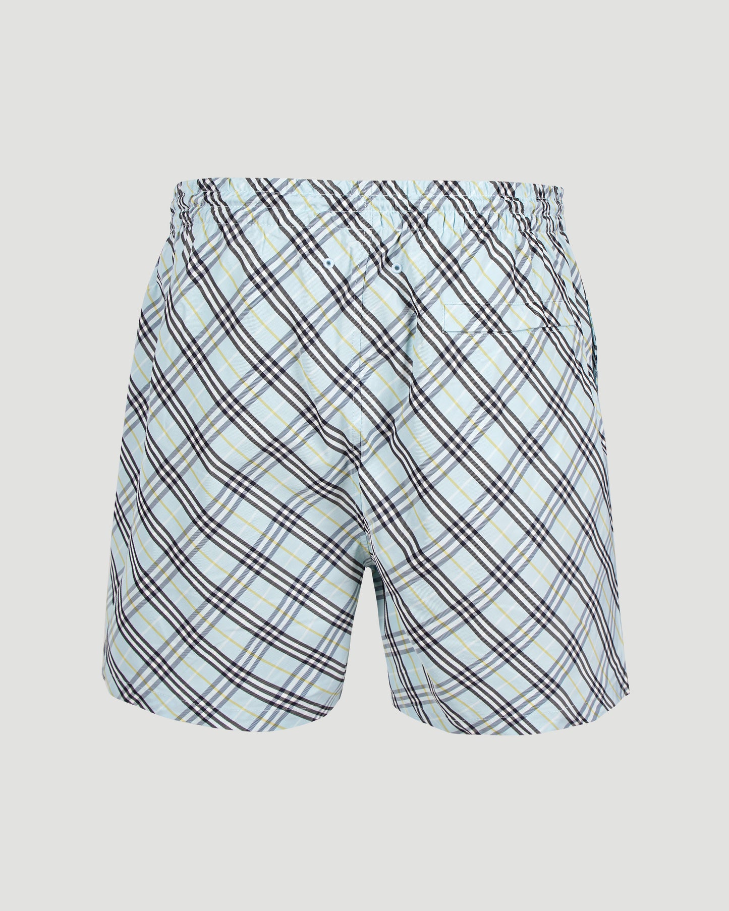 Check Swim Shorts in Breeze