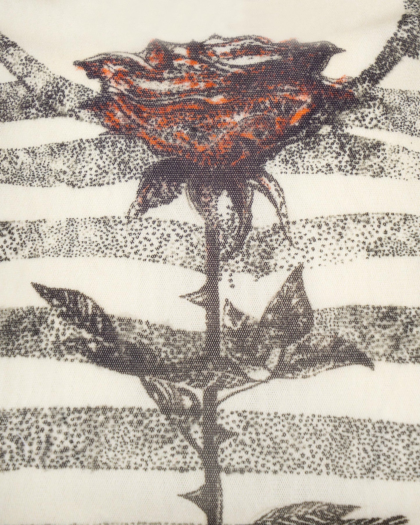 The Tattoo Mariniere Crop Top