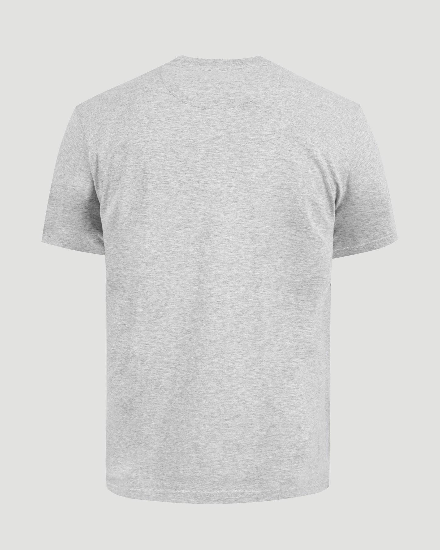 Cotton T-Shirt in Grey