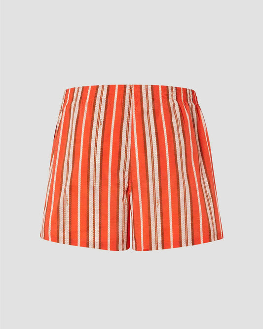 Multicolor Stripe Nylon Boxers