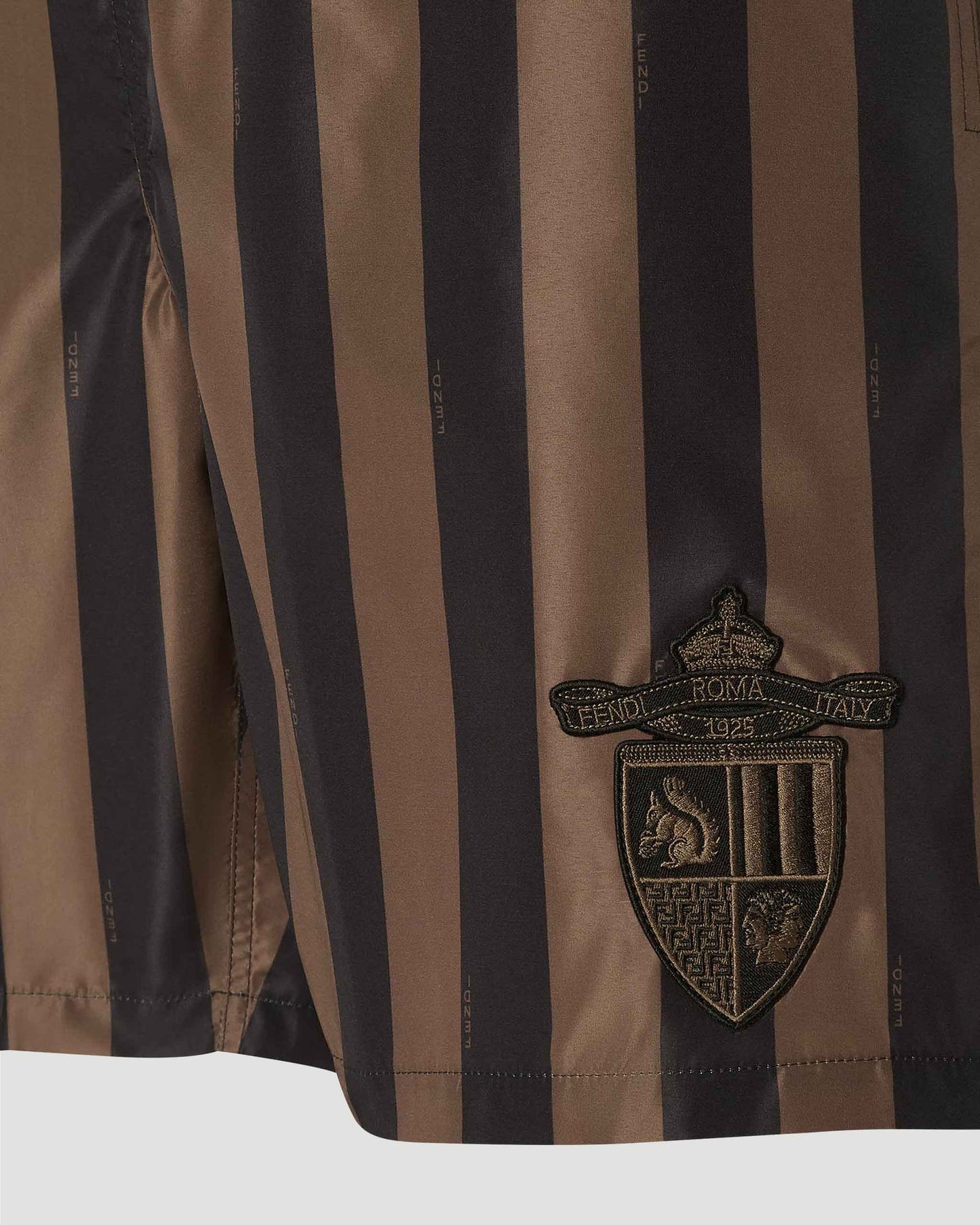 Swim Shorts in Brown