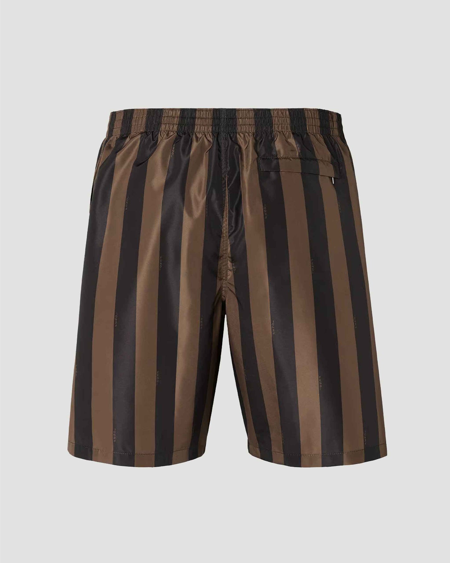 Swim Shorts in Brown