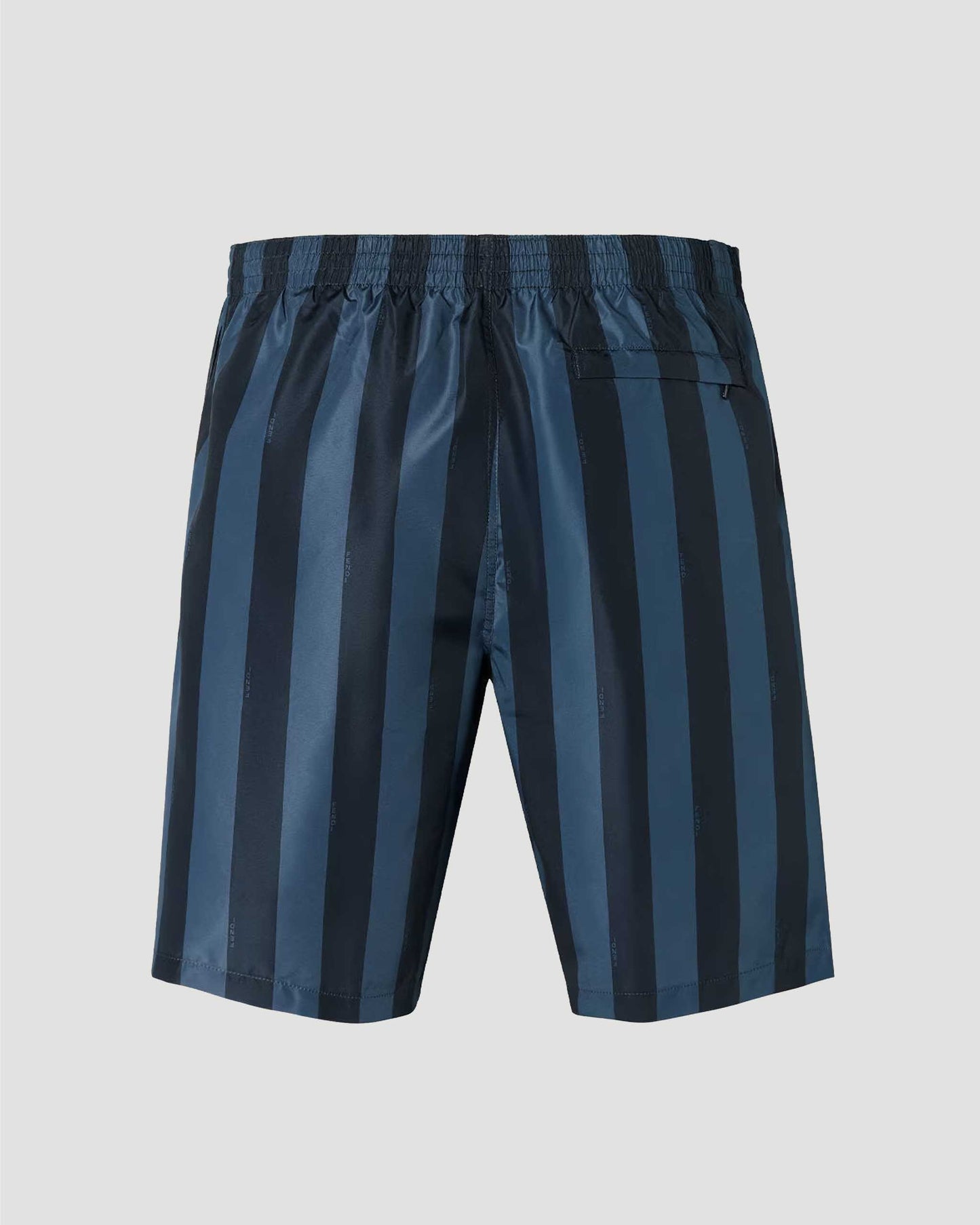 Swim Shorts in Blue