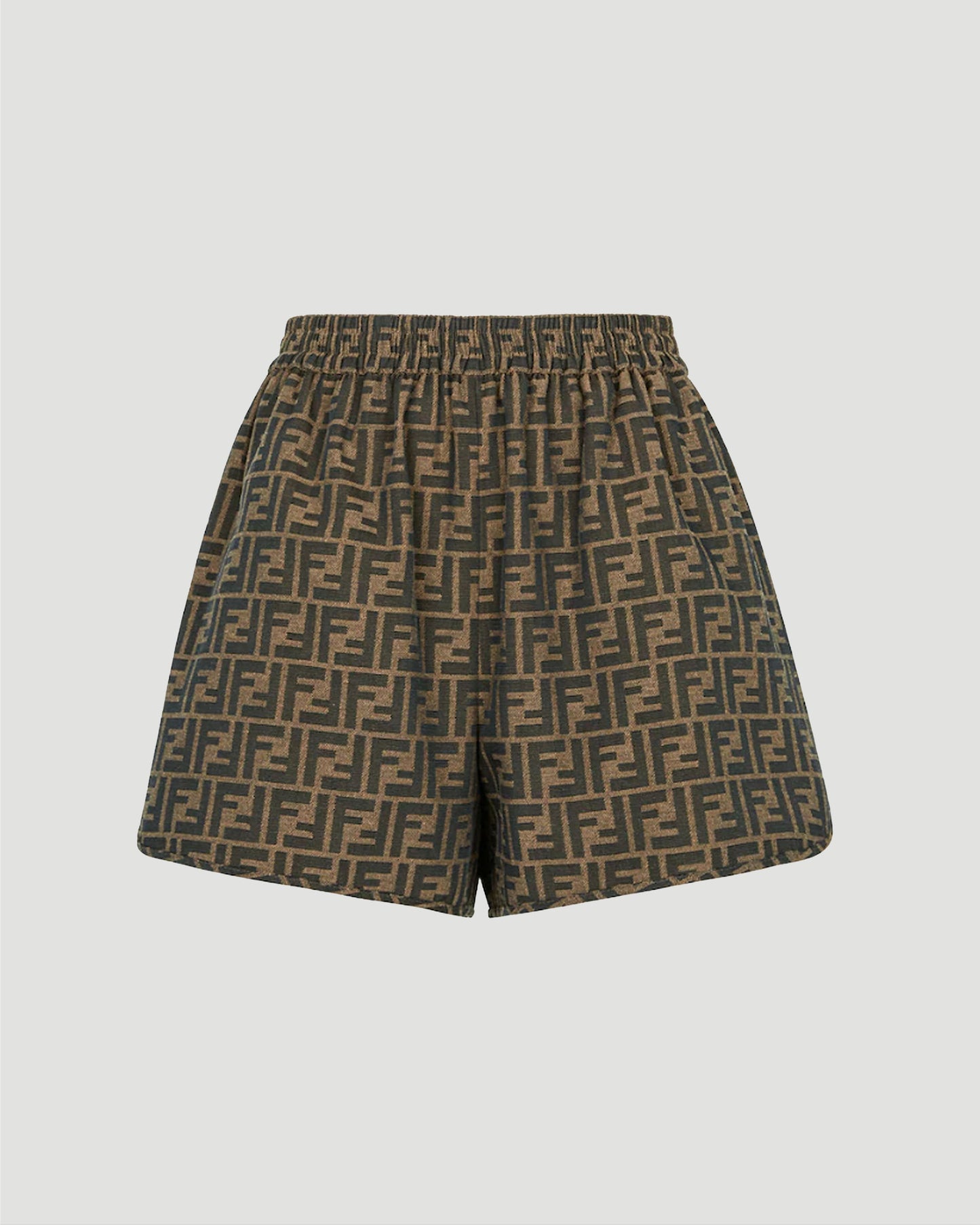 Brown Canvas Shorts