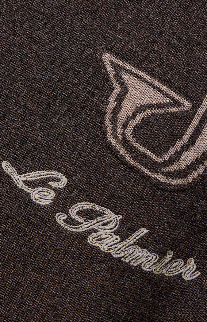 Herisson Embroidered Crew-Neck Sweater in Brown