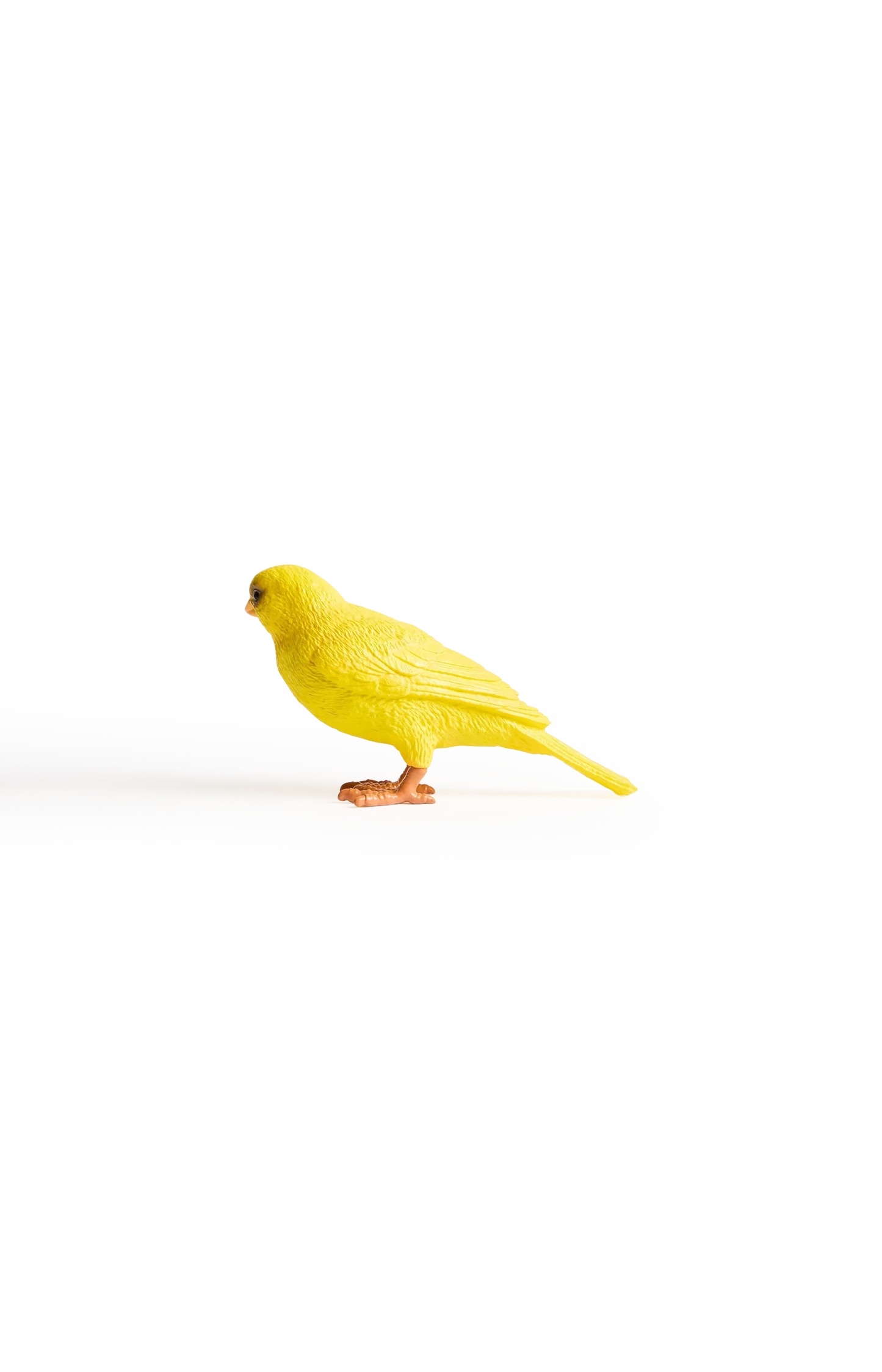 Canary Clutch In Yellow