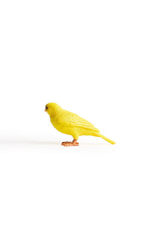 Canary Clutch In Yellow