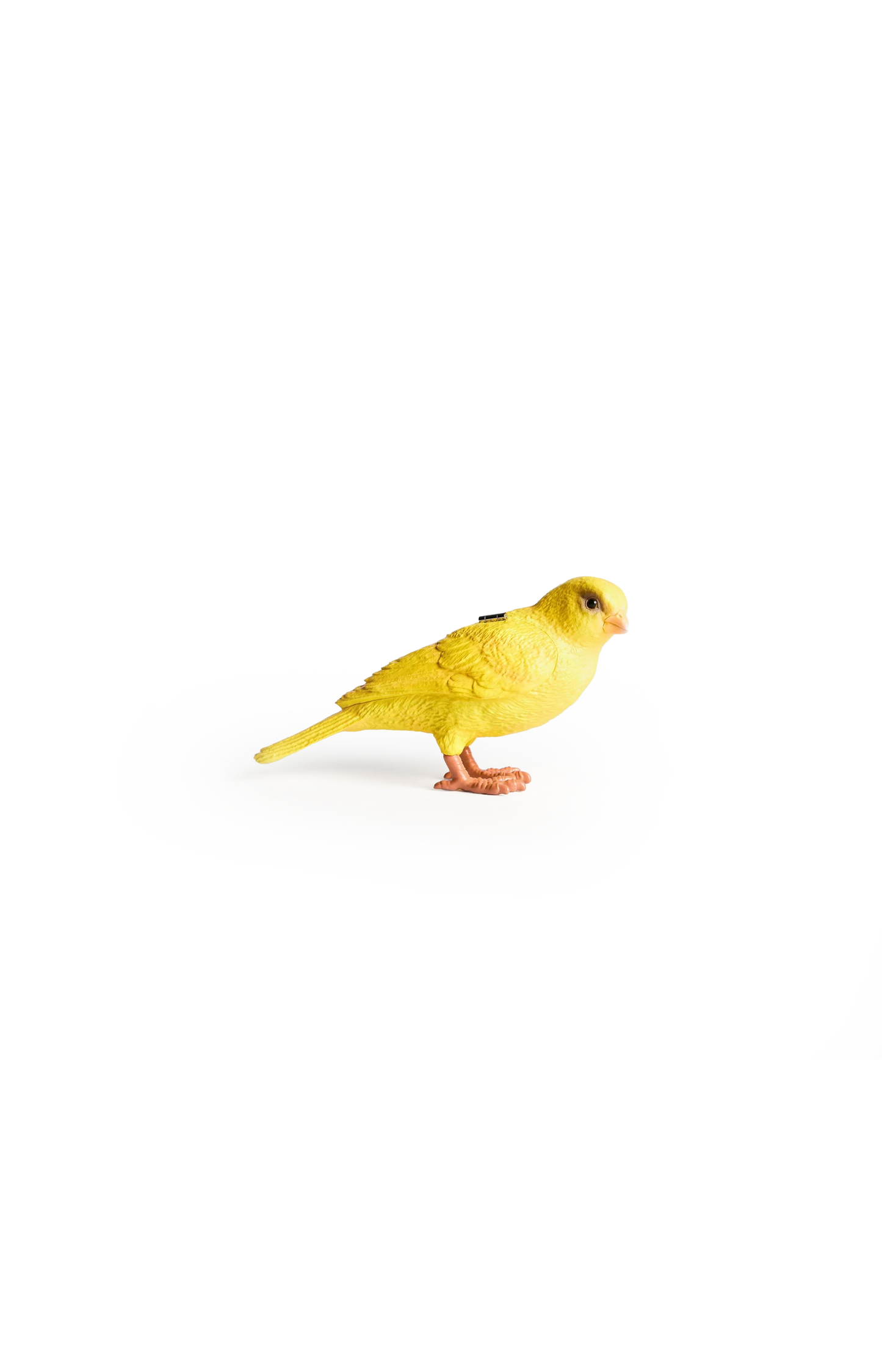 Canary Clutch In Yellow