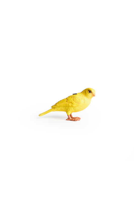 Canary Clutch In Yellow