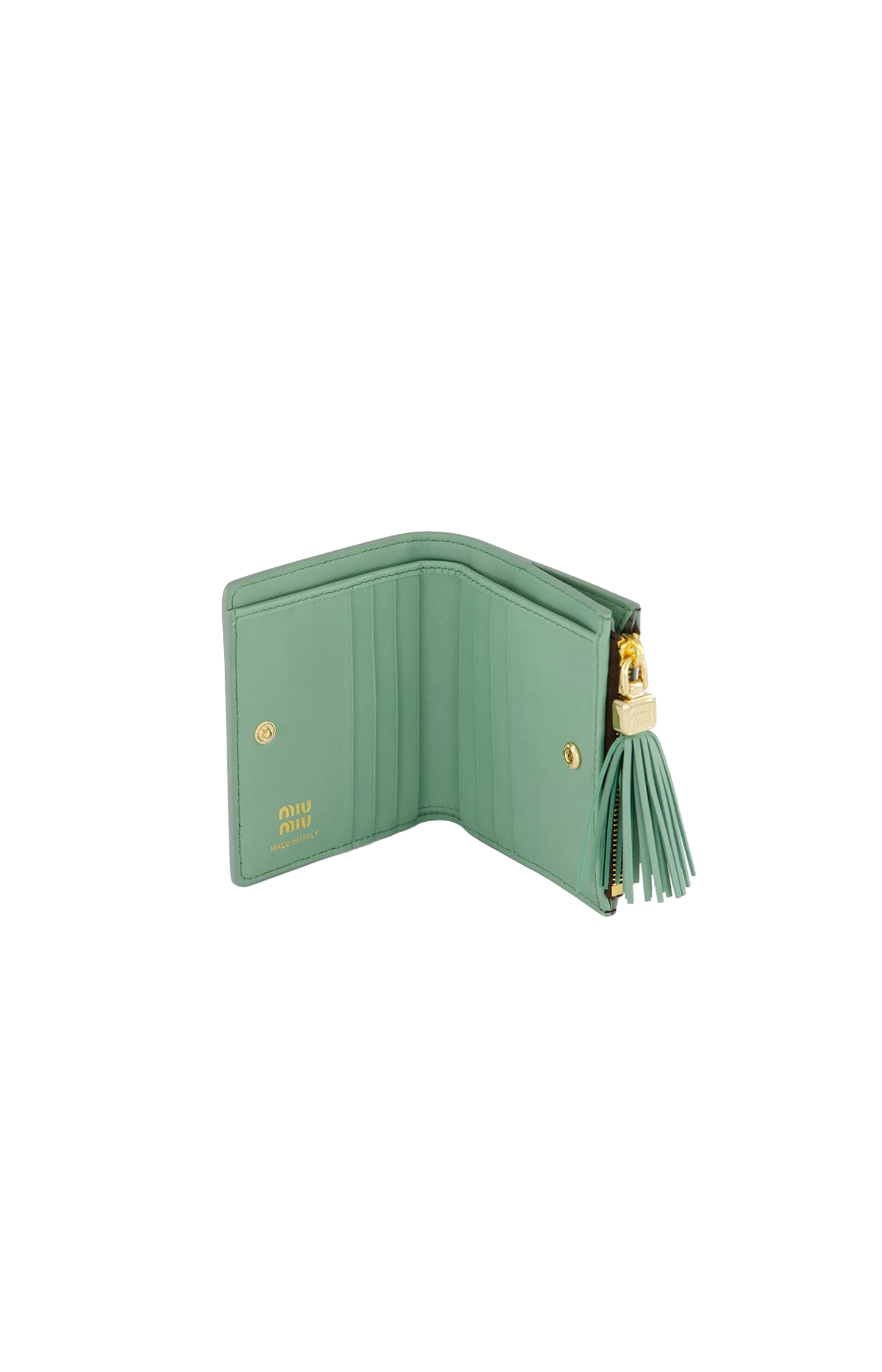 Wallet with Tassel detail