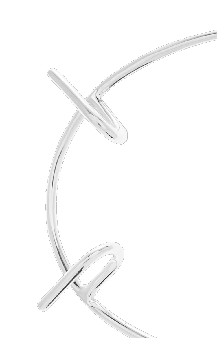 Silver Lip Ornament