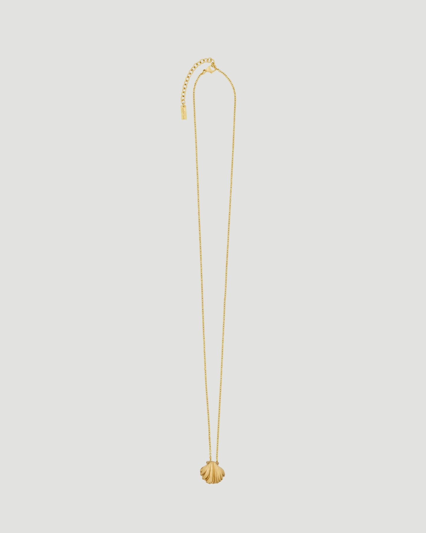 Shell Necklace in Metal