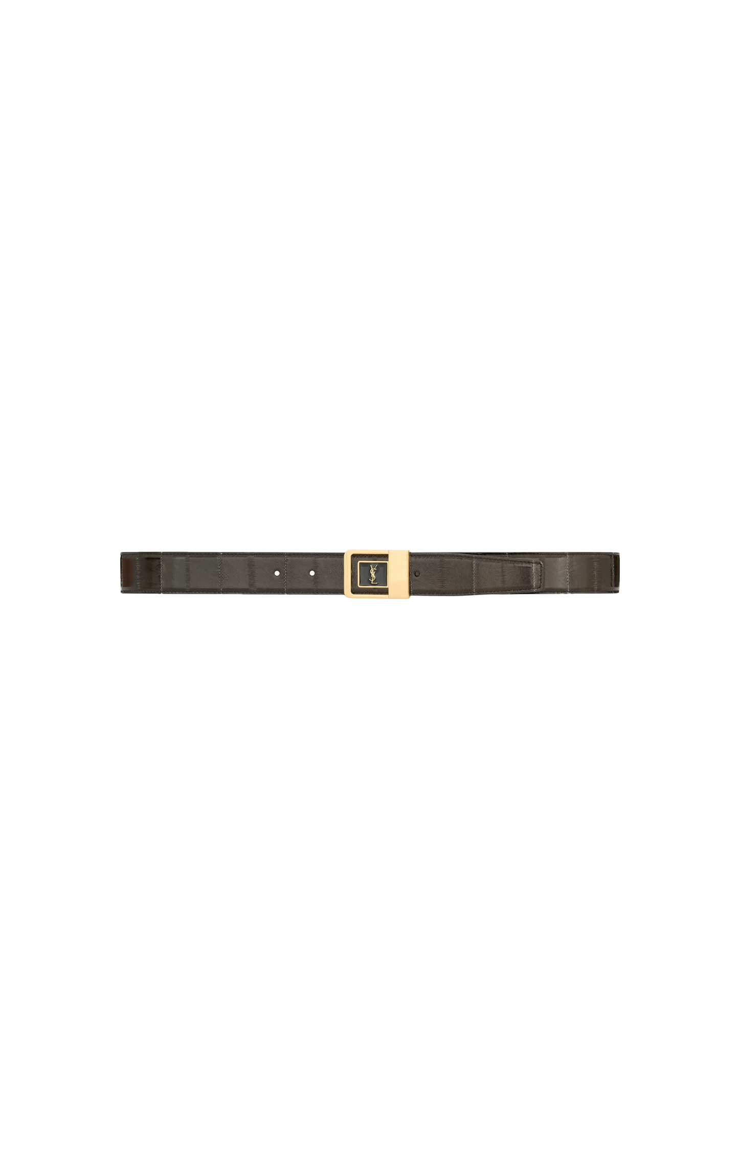 LA 66 Belt in Eel