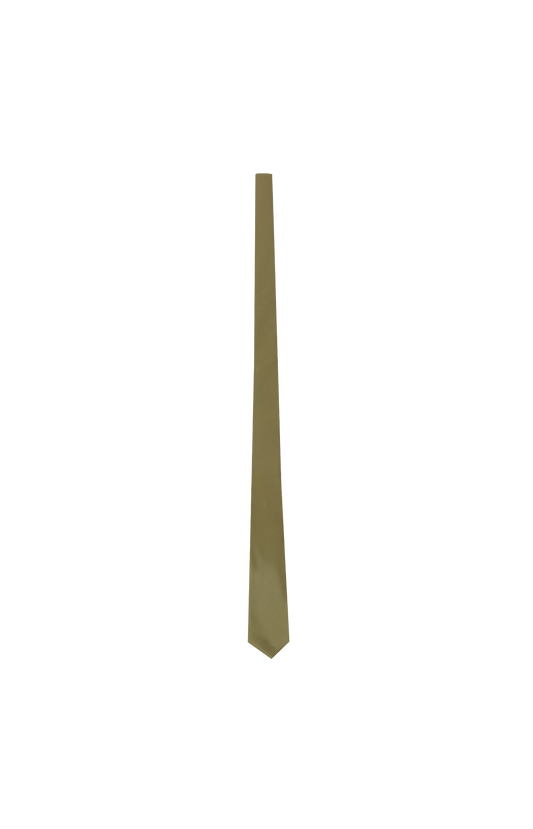 Tie in Silk Satin