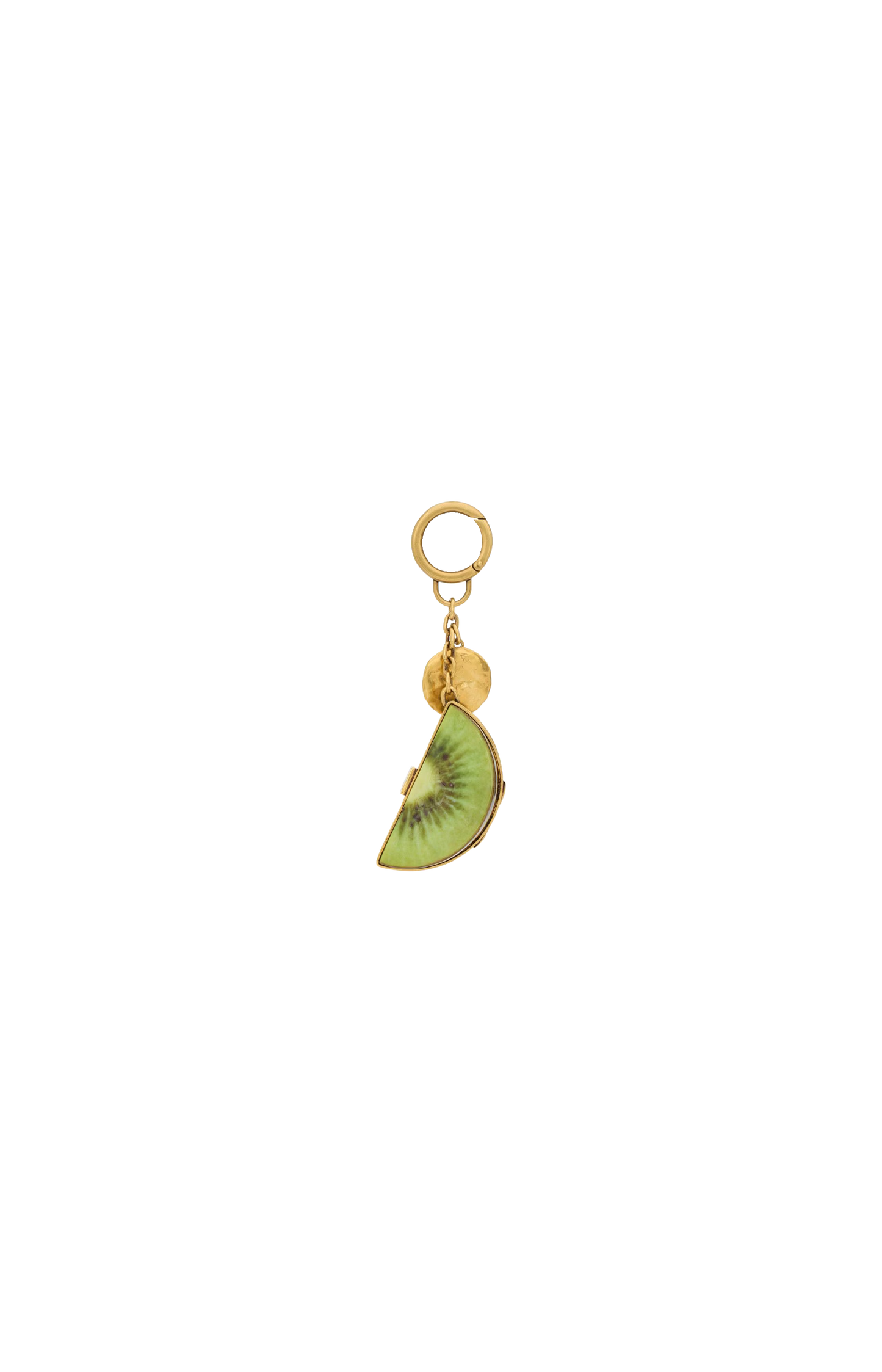Kiwi Keyring