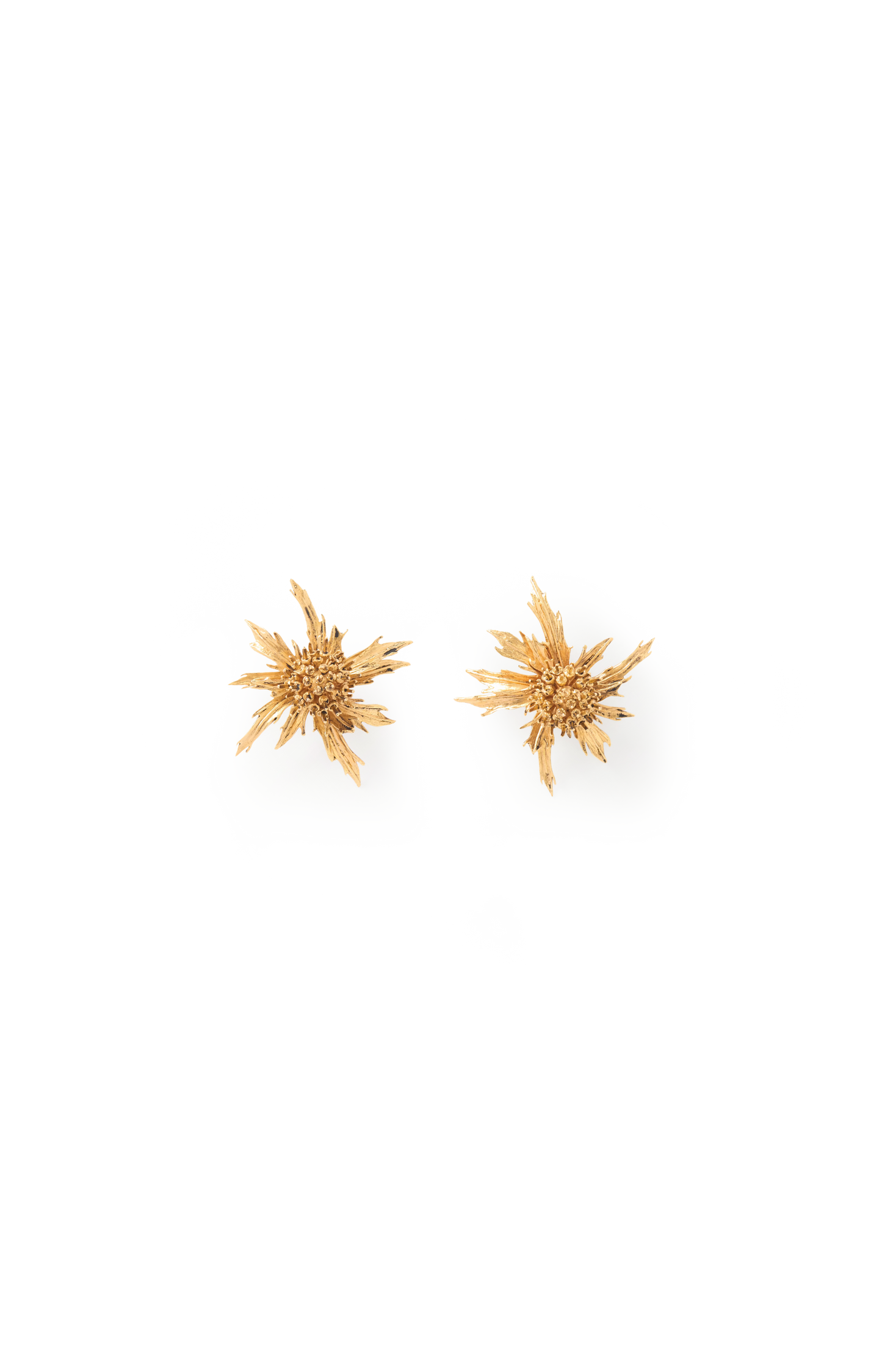 Chardon Gold-Tone Clip Earrings