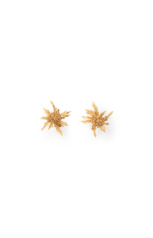Chardon Gold-Tone Clip Earrings