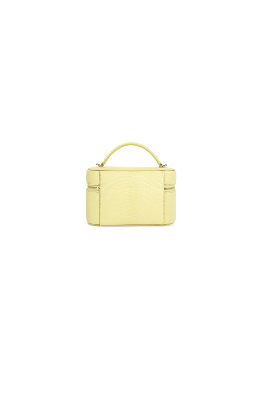Saint Laurent Gaby Vanity Bag in Lambskin