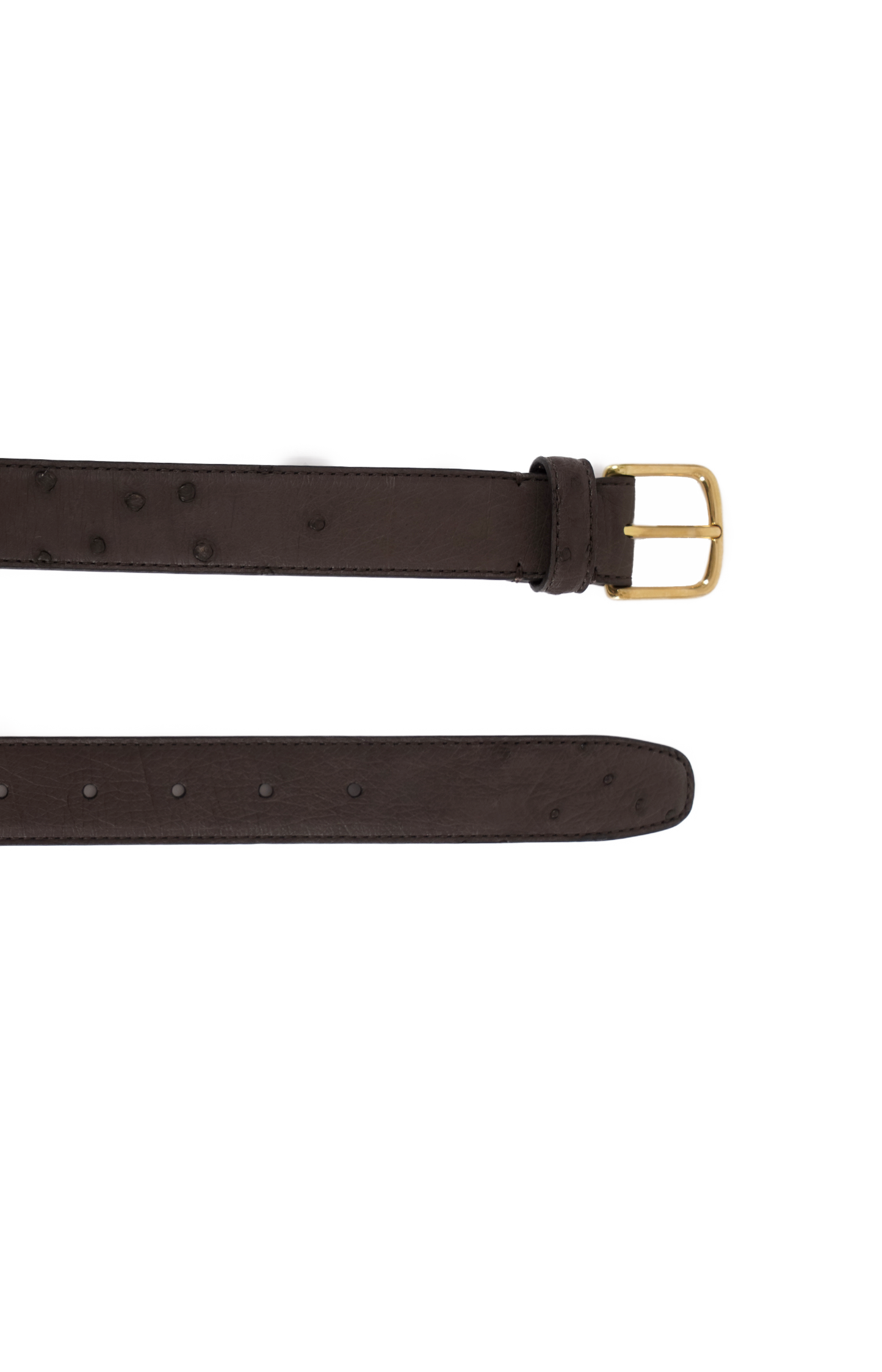 Classic Belt in Dark Brown